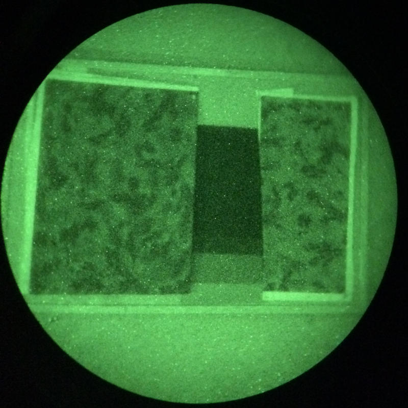 Near Infrared: ALPHA GHOST WOODLAND (left) and MOUNTAIN ARID (right)