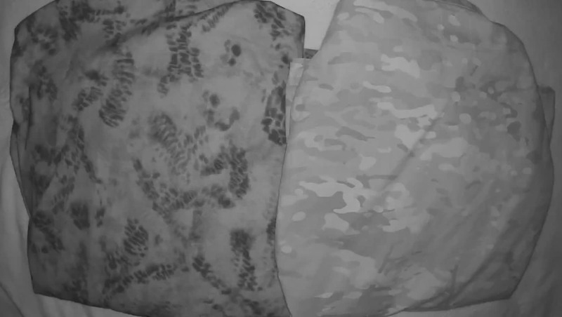 Near Infrared: ALPHA GHOST MOUNTAIN ARID vs. MULTICAM