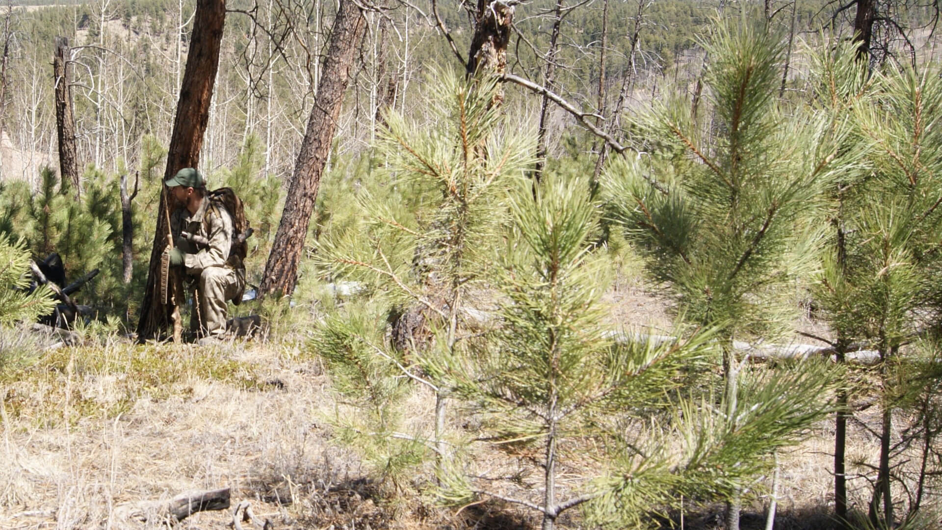 ALPHA GHOST MOUNTAIN ARID PATTERN