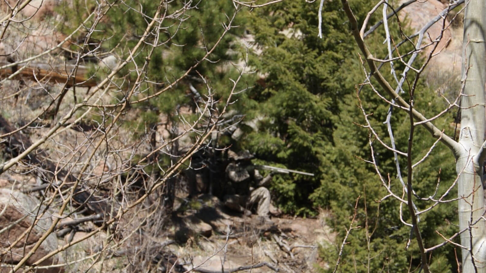 ALPHA GHOST MOUNTAIN ARID PATTERN