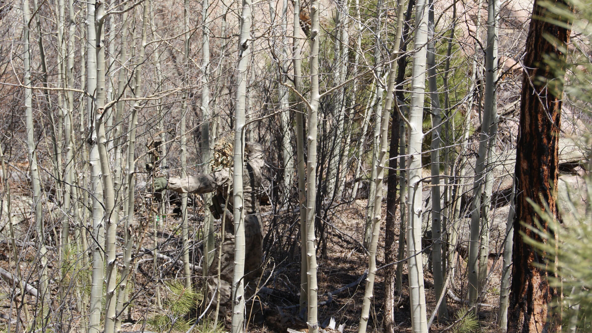 ALPHA GHOST MOUNTAIN ARID PATTERN